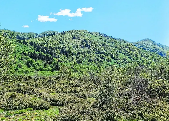 Ravno By Interhome * Bribir (Primorje-Gorski Kotar)